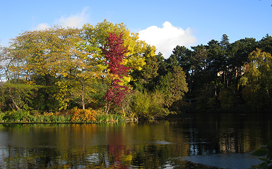 Botanisk have i efterårsfarver